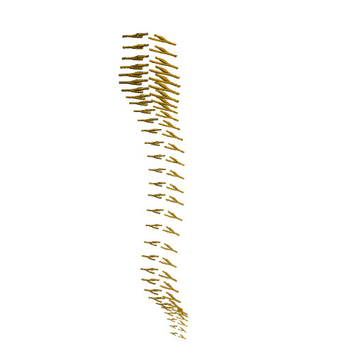 Generic human spinal nerves scaffold