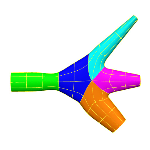 Generic human trigeminal scaffold