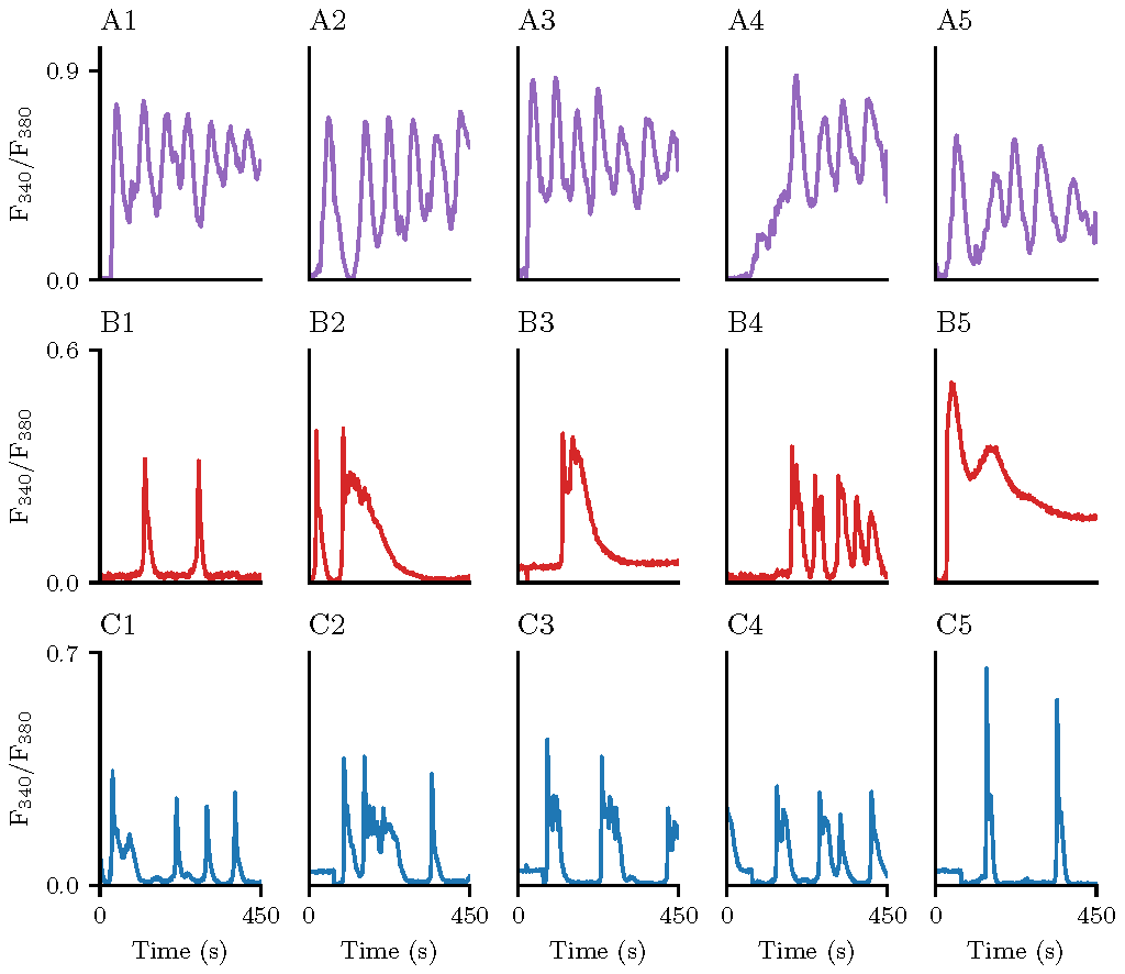 Calcium oscillations on T-cells